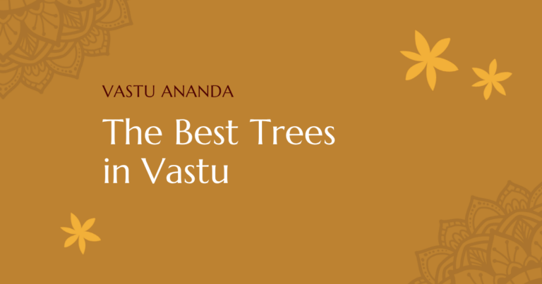 Best Trees In Vastu Featured Image