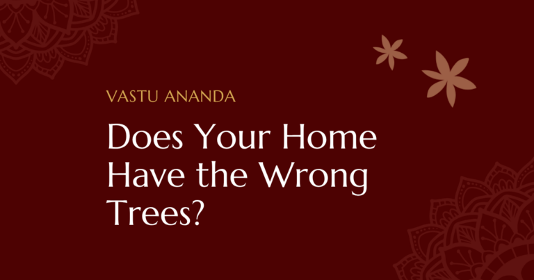 Home Trees Vastu Featured Image