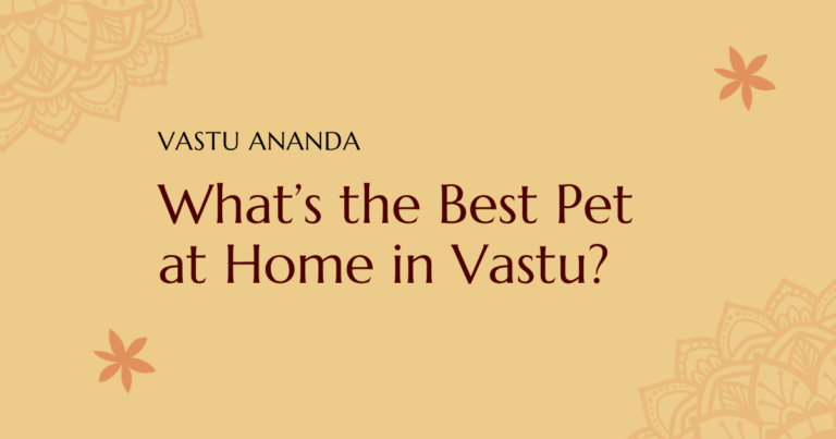 Pet Vastu Tips Featured