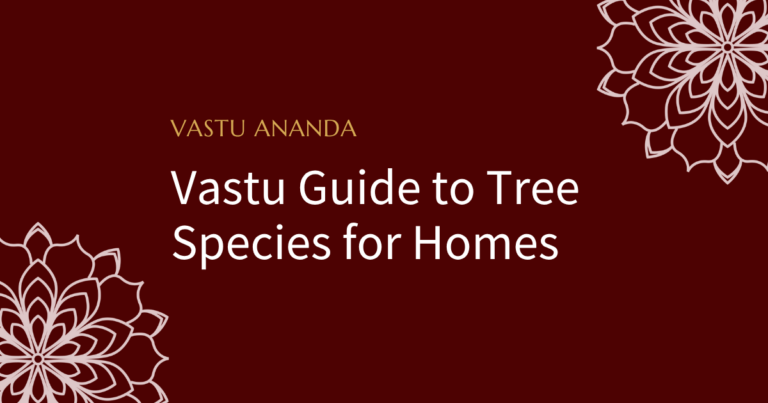 Tree For Home Vastu Featured Image