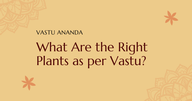 Vastu Plants For Home Featured