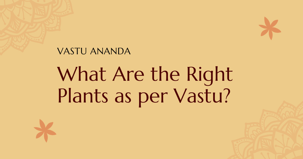 Vastu Plants For Home Featured