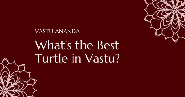 Vastu Turtle In Home Featured